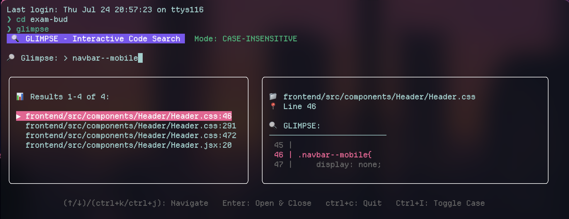 Glimpse Interactive Code Search